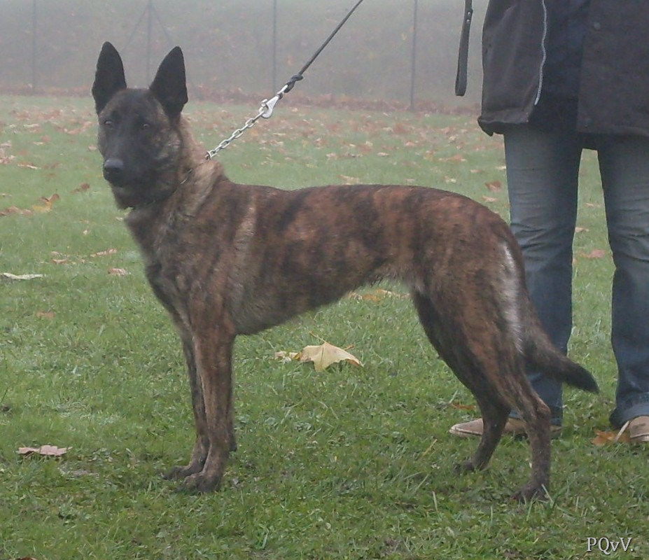  Mac Khalahann’s Enke